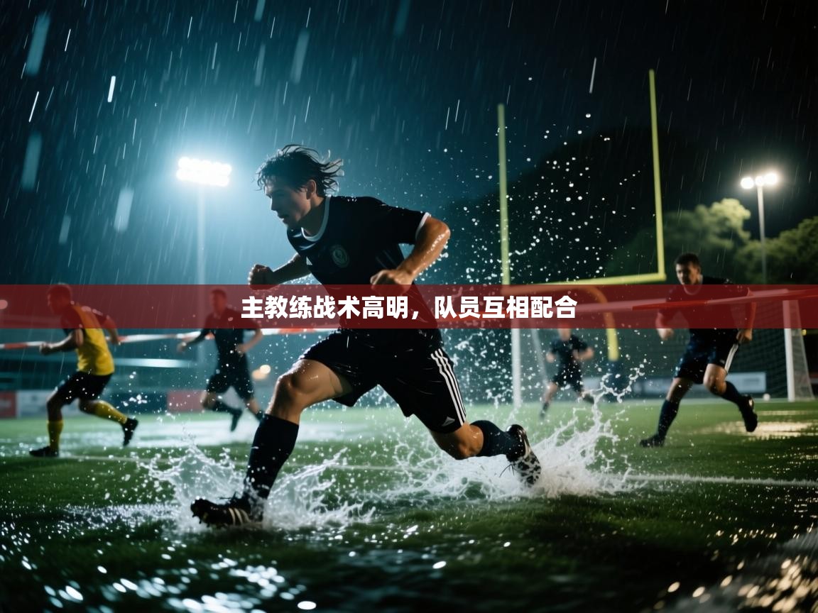 主教练战术高明，队员互相配合  第2张